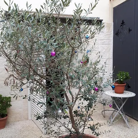 Guest house A Casa Di Rio
